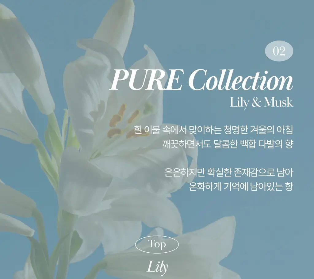 [NEW/이주빈PICK] 티엘라 퍼퓸 너리싱 바디크림 200ml 3종 택 1 상세페이지 60